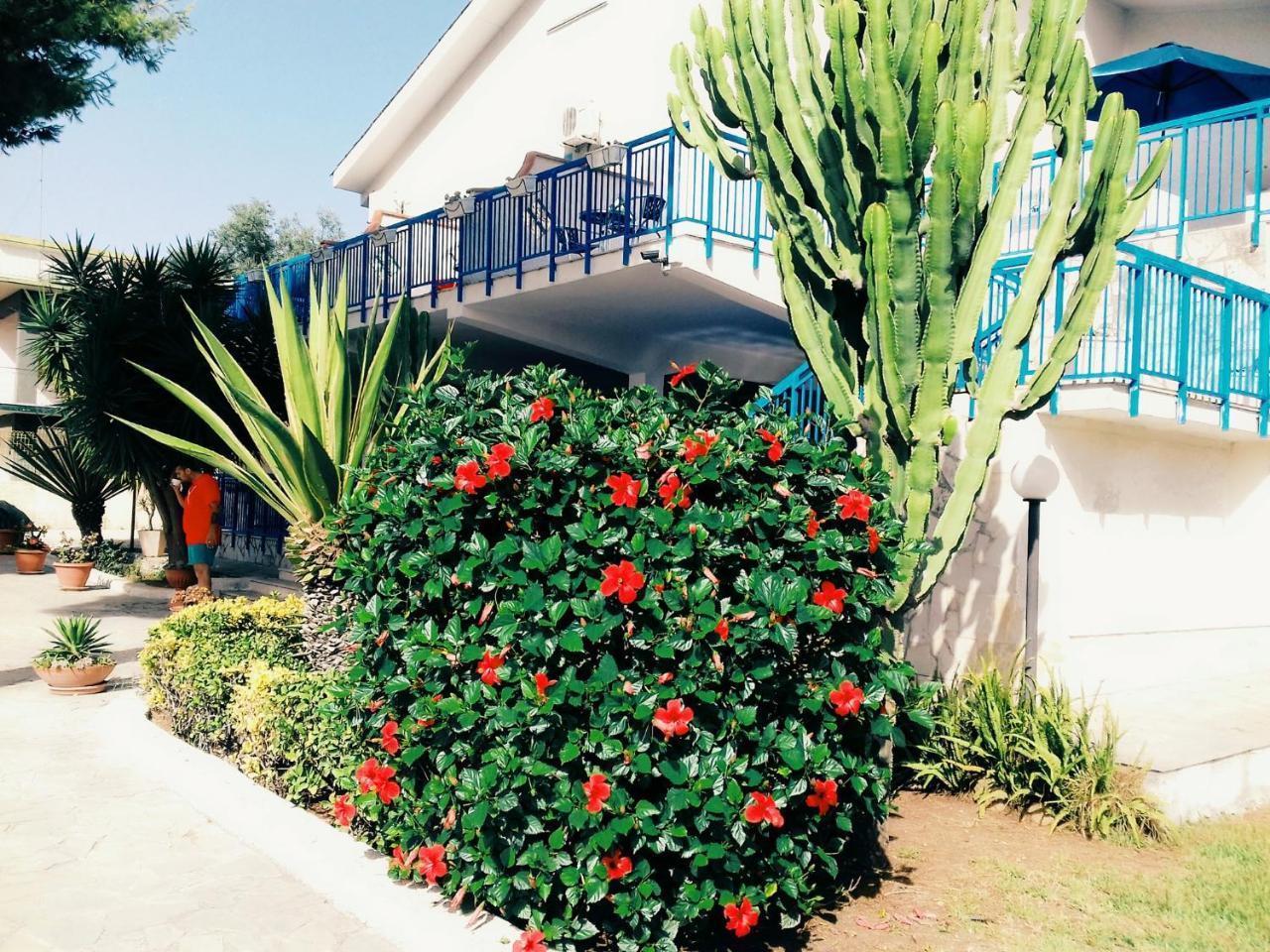 B&B Nido Colorato Fontane Bianche Kültér fotó